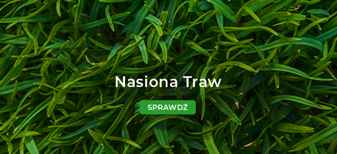 Nasiona Traw